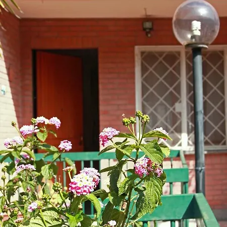Bed and breakfast Books Beds & Breakfast Roma